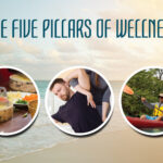 wellness-pillars